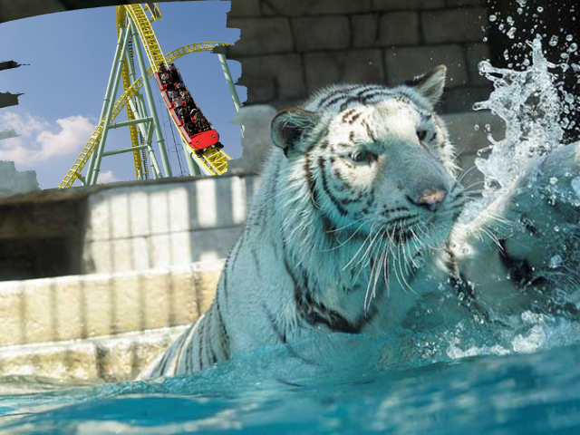 東武動物公園チケット2枚セット  最後一セットです。